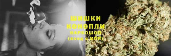 гидропоника Инта