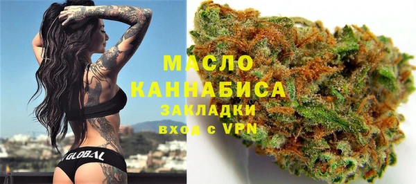 гидропоника Инта