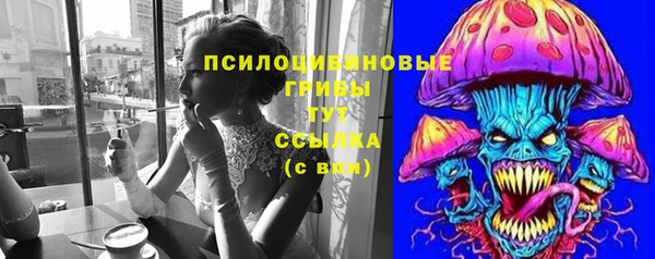 гашик Инсар