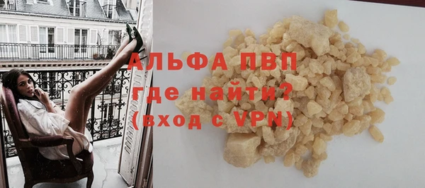 гашик Инсар