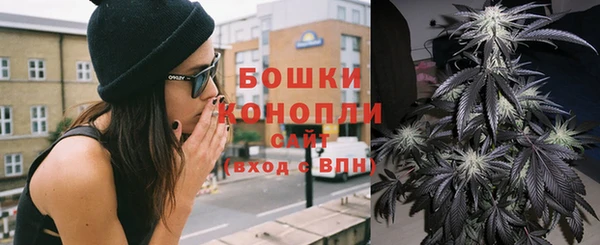 гашик Инсар