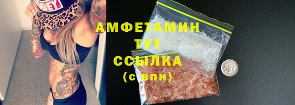 гашик Инсар