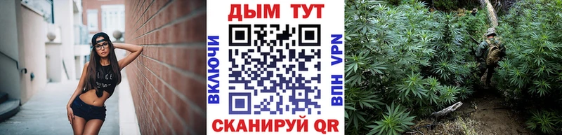 Конопля Bruce Banner  Собинка 